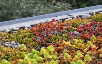the cost of Calligarry green roof installation