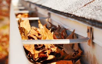 Calligarry gutter cleaning companies