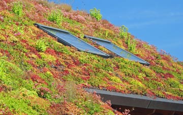 Calligarry living roof systems