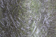 Calligarry fibreglass roof work