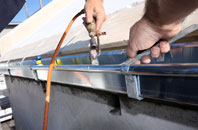 free Calligarry fascia quotes